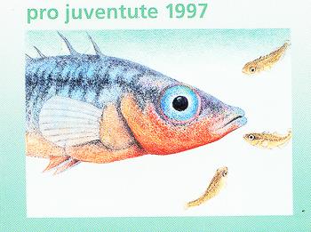 Stamps: JMH46 - 1997 Pro Juventute, stickleback